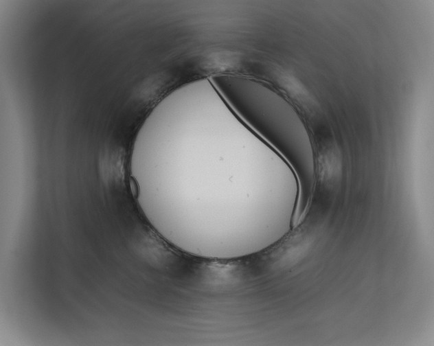 X0000112410570200909041358