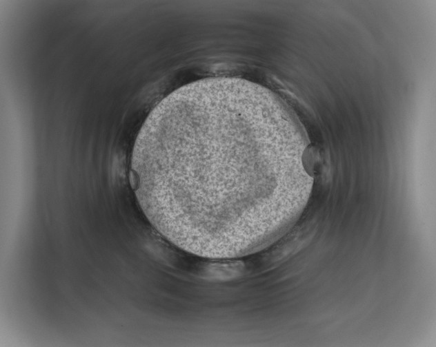 X0000112410571200909041358