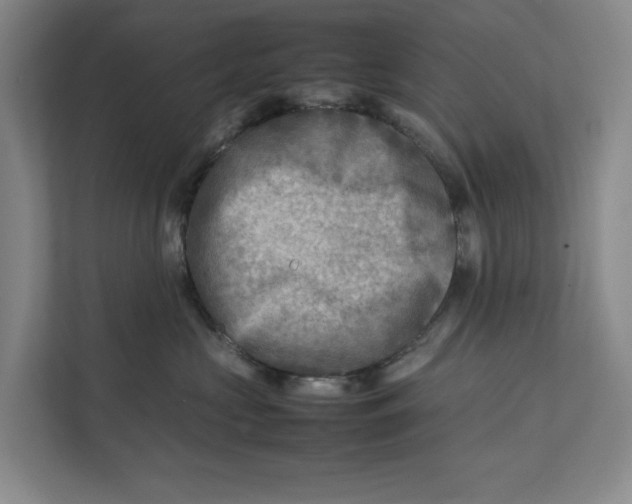 X0000112410573200909041358