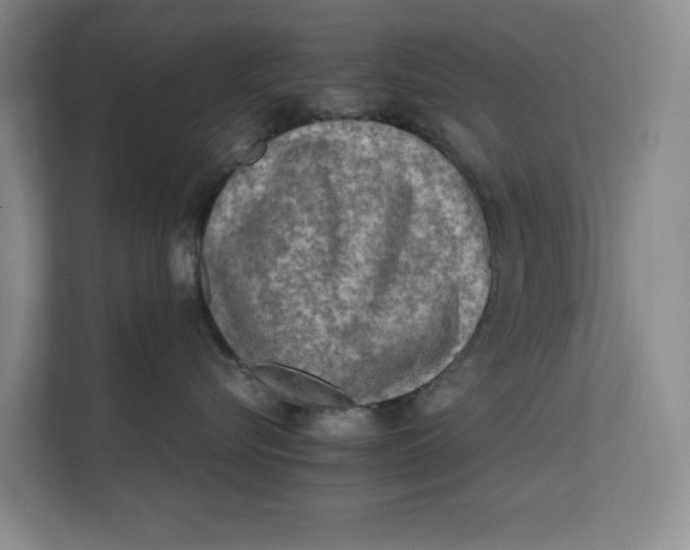 X0000112410576200909041359