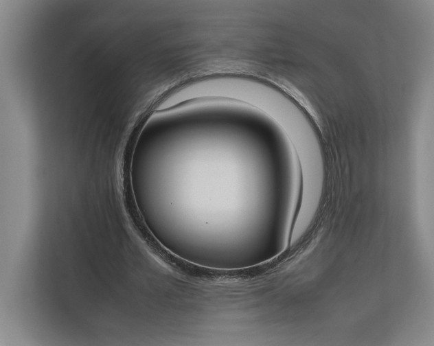 X0000112410581200909041358