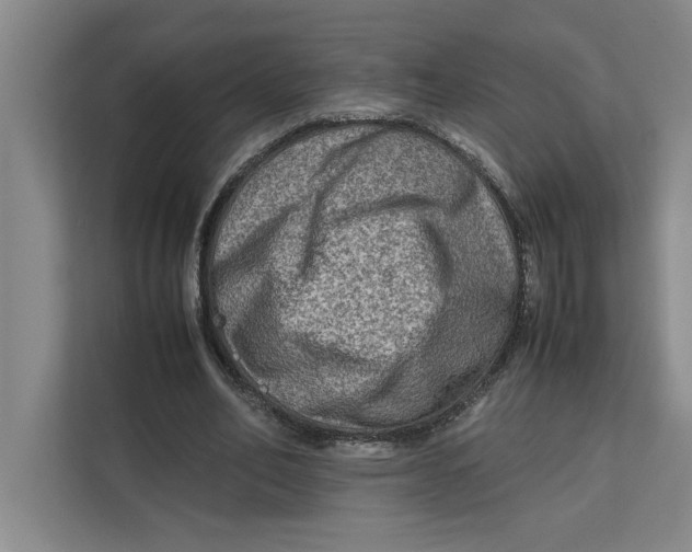 X0000112410582200909041358