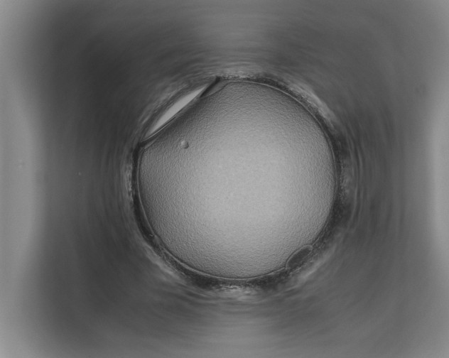 X0000112410585200909041358