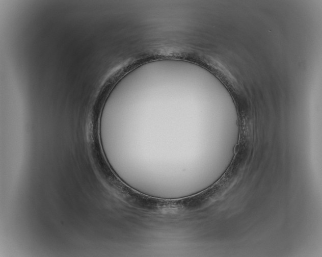 X0000112410587200909041358