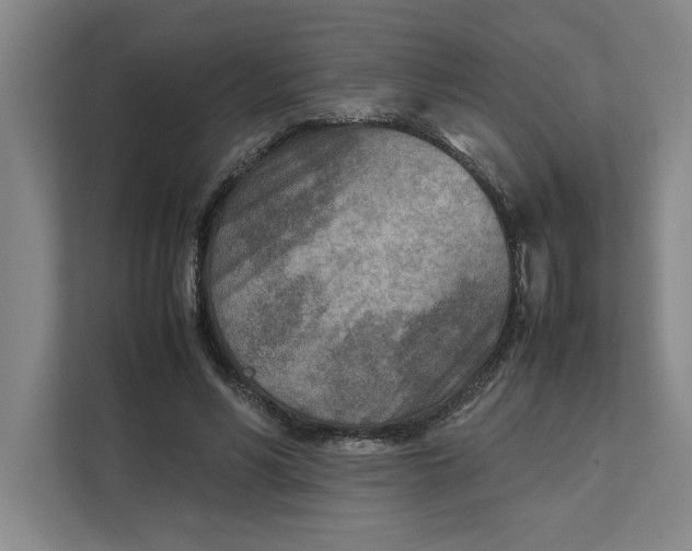 X0000112410590200909041358