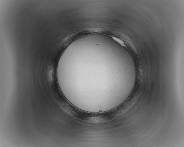 X0000112410596200909041358