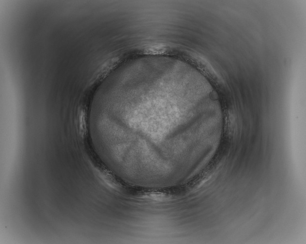 X0000112410598200909041358