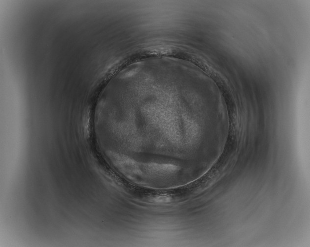 X0000112410600200909041358