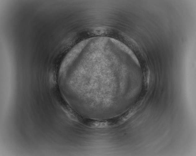 X0000112410606200909041358