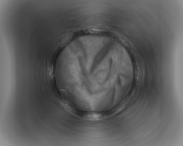 X0000112410610200909041357