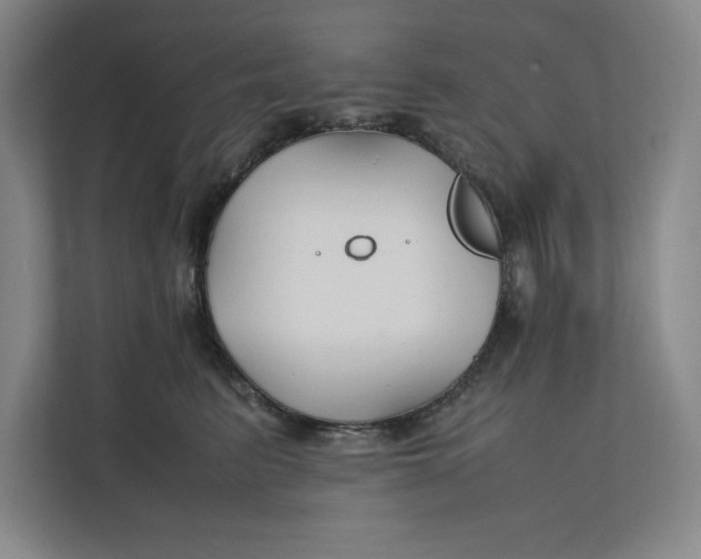 X0000112410615200909041357