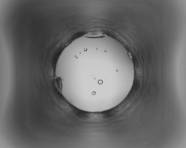 X0000112410617200909041357