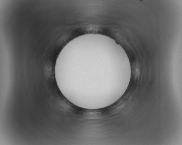 X0000112410619200909041357