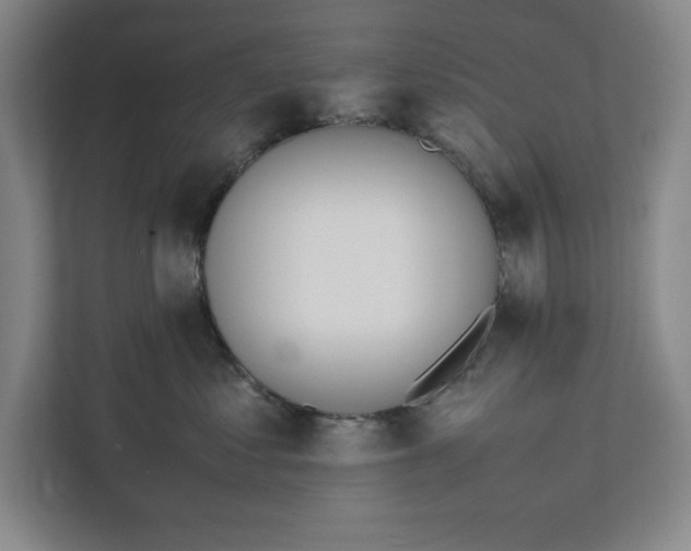 X0000112410621200909041357