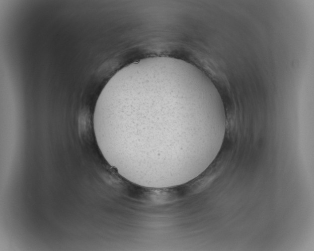 X0000112410623200909041357