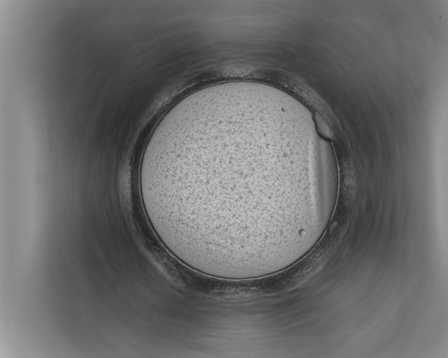 X0000112410626200909041357