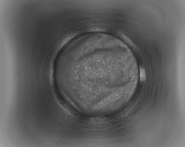 X0000112410627200909041357