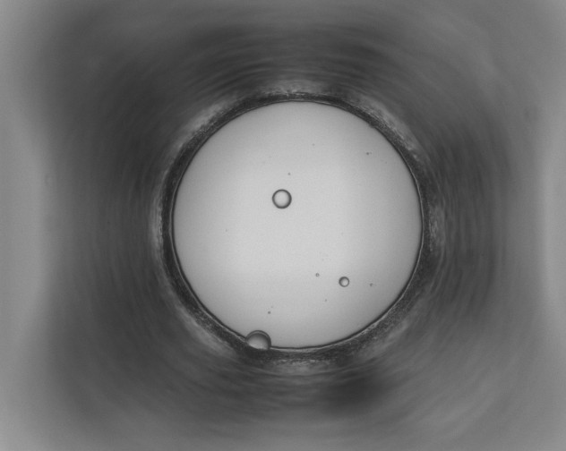 X0000112410629200909041357