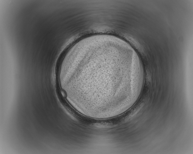 X0000112410630200909041357