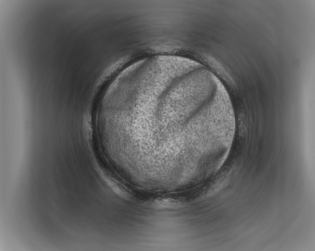 X0000112410634200909041357