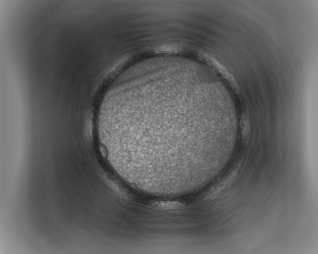 X0000112410637200909041357