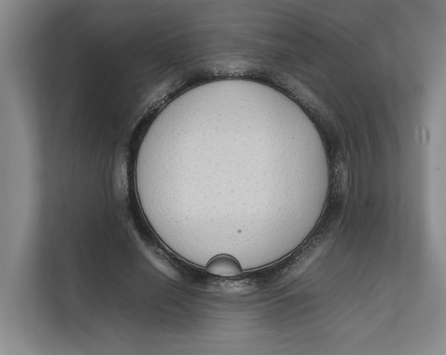 X0000112410638200909041357