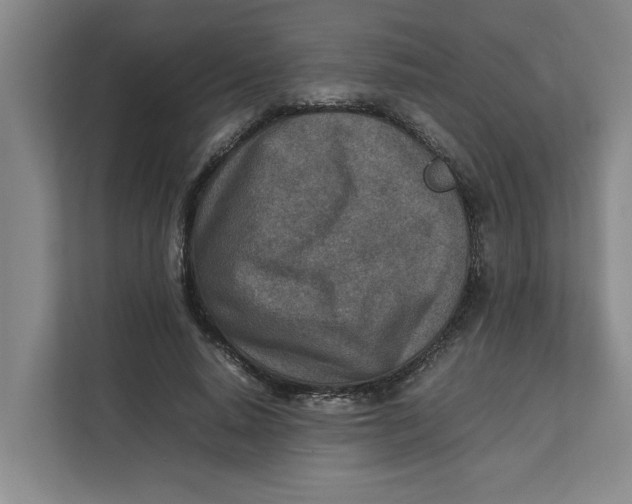 X0000112410640200909041357