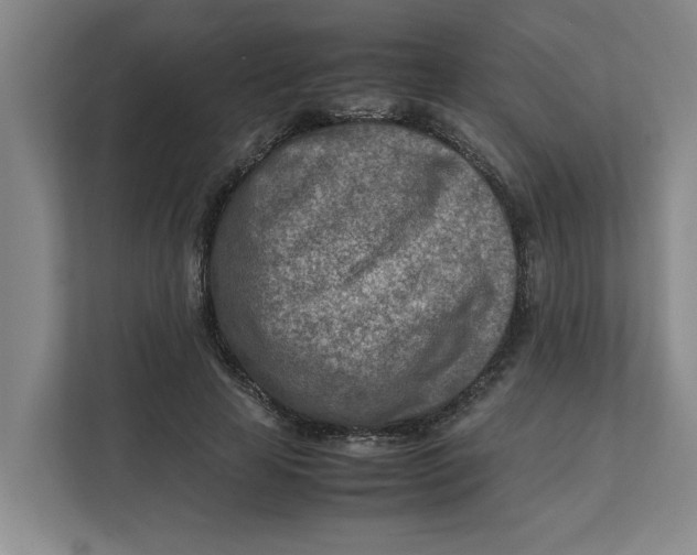 X0000112410641200909041357