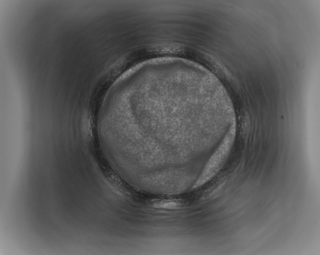 X0000112410643200909041357