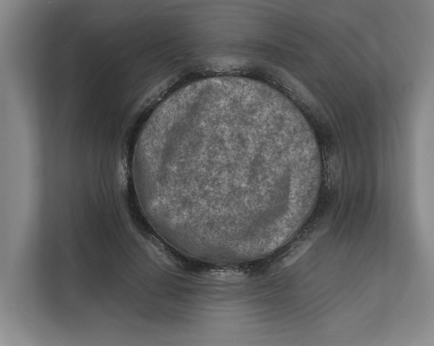 X0000112410644200909041357