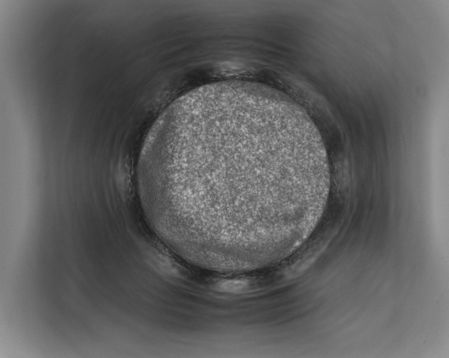 X0000112410653200909041357