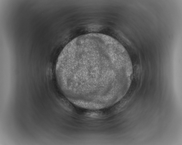 X0000112410655200909041357