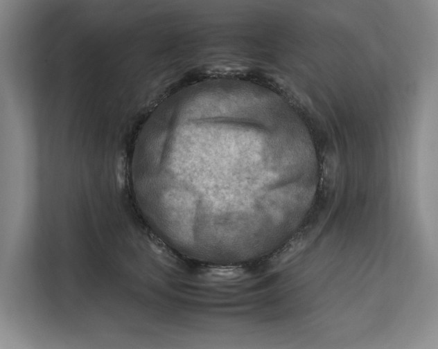 X0000112410659200909041357