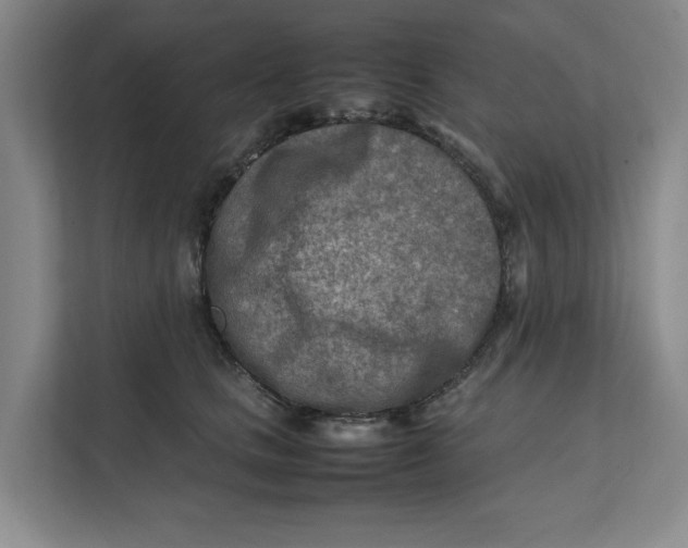 X0000112410661200909041357