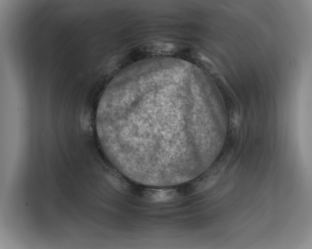 X0000112410663200909041357