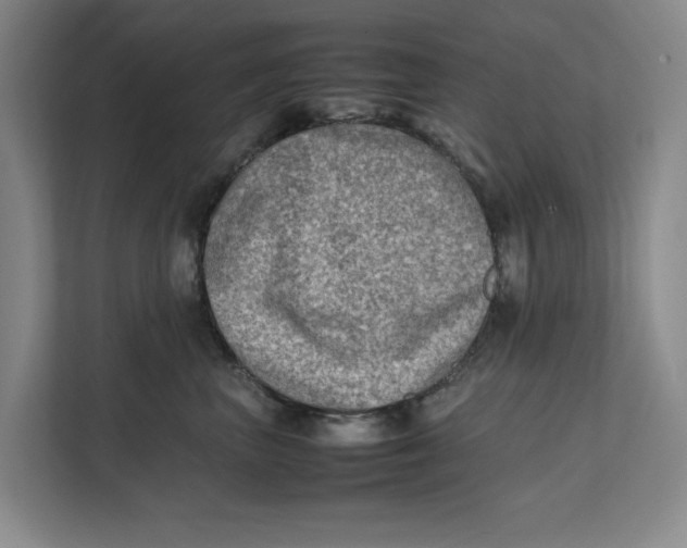 X0000112410667200909041357