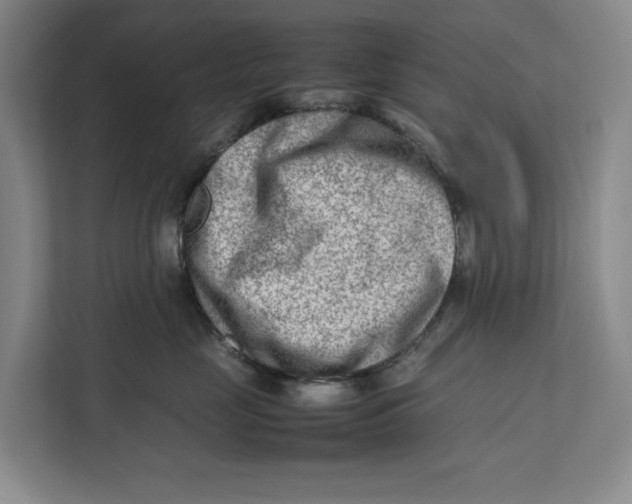 X0000112410669200909041357