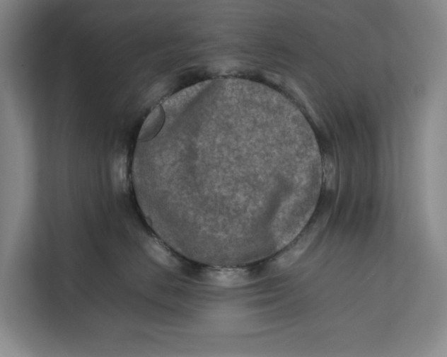 X0000112410670200909041357