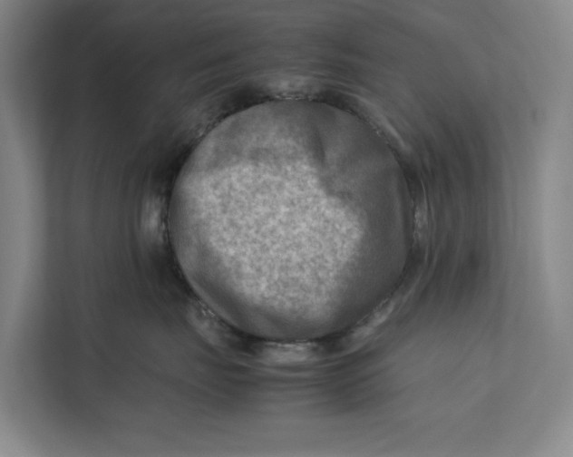 X0000112410671200909041357