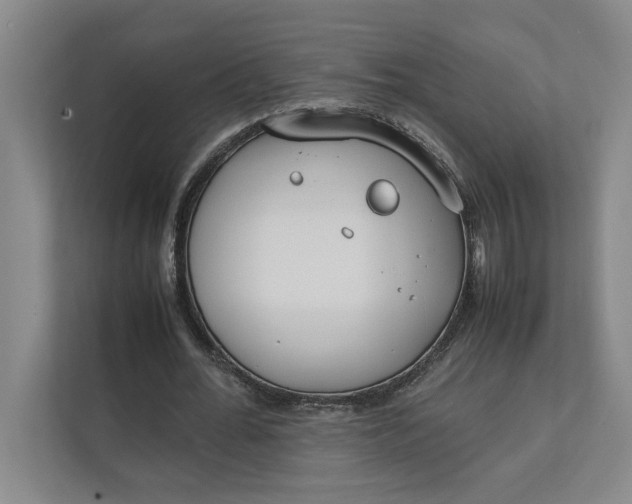 X0000112410676200909041357