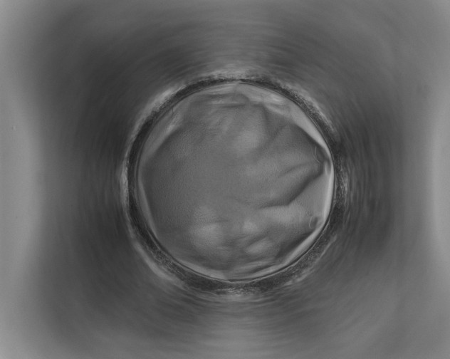 X0000112410678200909041357