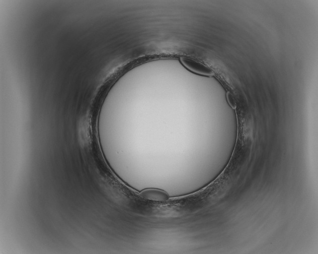 X0000112410680200909041357