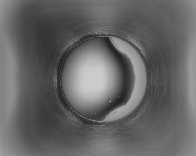 X0000112410681200909041357