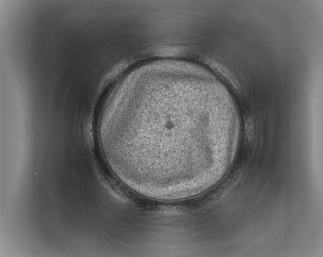 X0000112410682200909041357