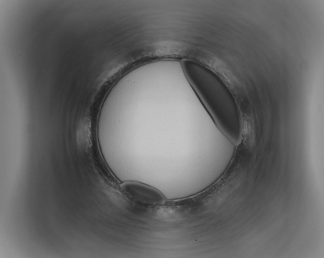 X0000112410684200909041357