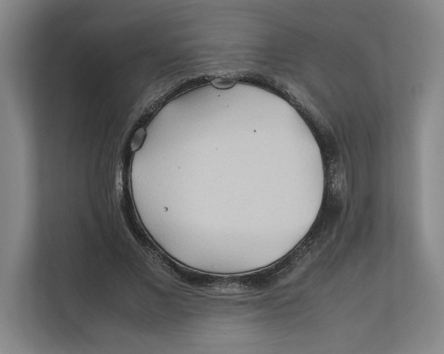 X0000112410685200909041356