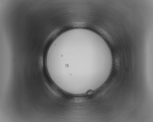 X0000112410686200909041356