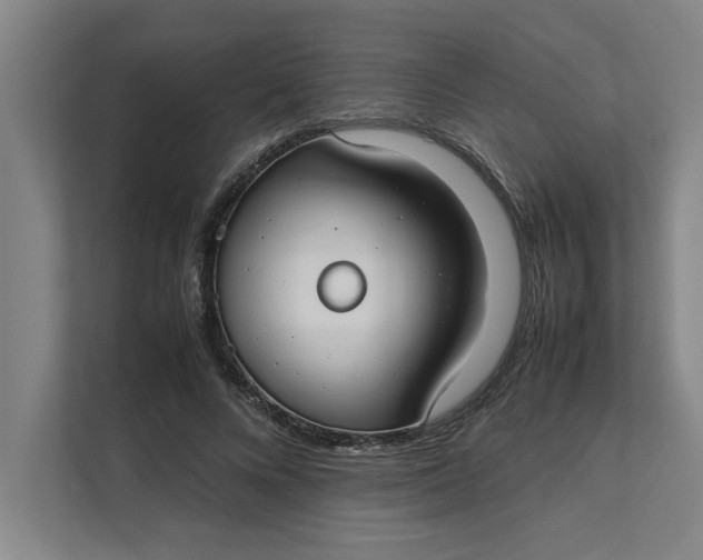 X0000112410688200909041356