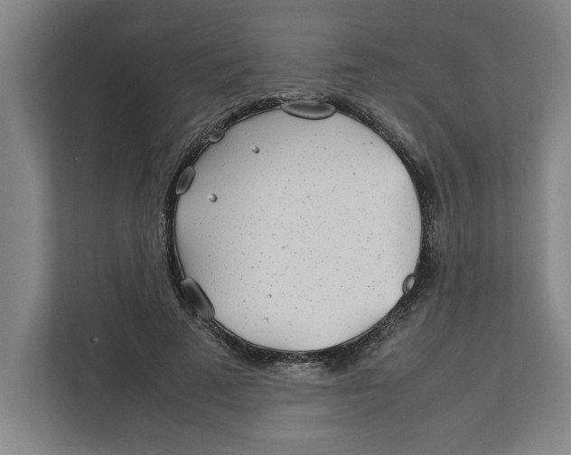 X0000112410689200909041356