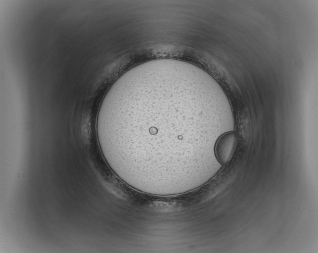 X0000112410690200909041356